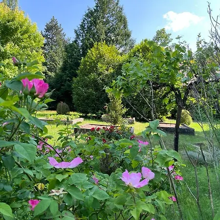 Gites Du Neflier Et Equestre * Guemardieres