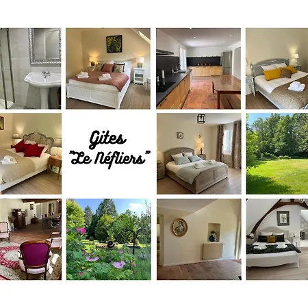 Gites Du Neflier Et Equestre Bed & Breakfast Guemardieres